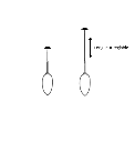 Cable Réglable.webp